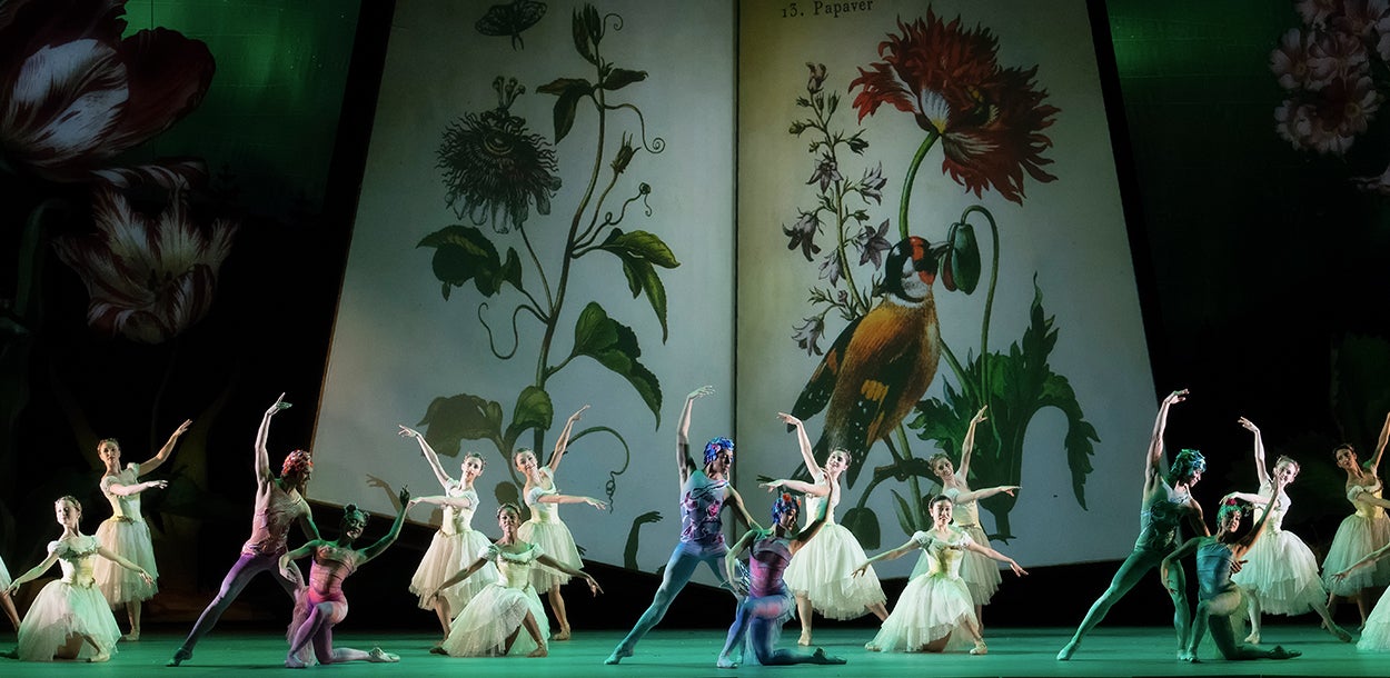 The Nutcracker