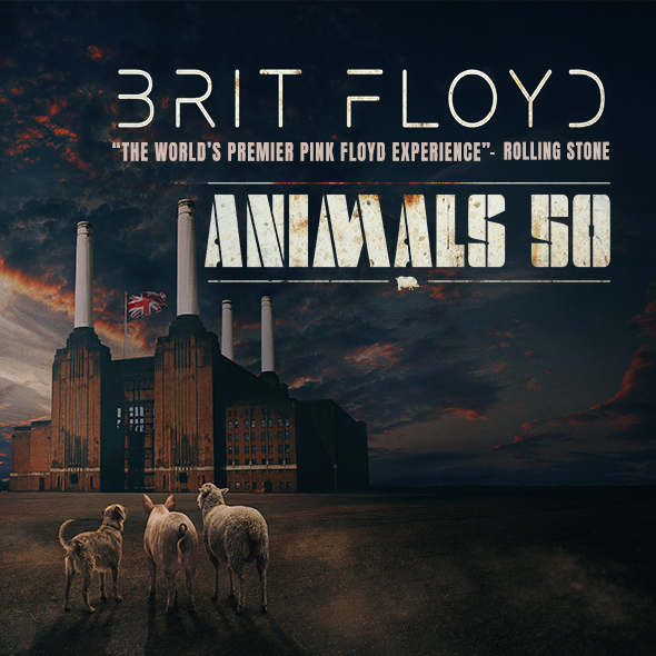 More Info for Brit Floyd - Animals 50