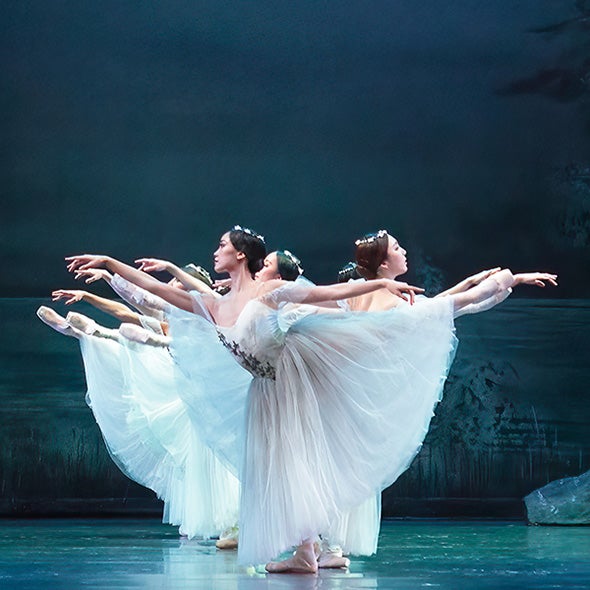 More Info for Giselle