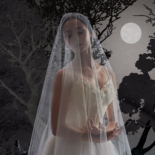 More Info for Giselle