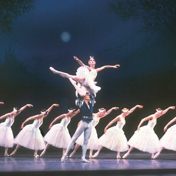 More Info for Swan Lake